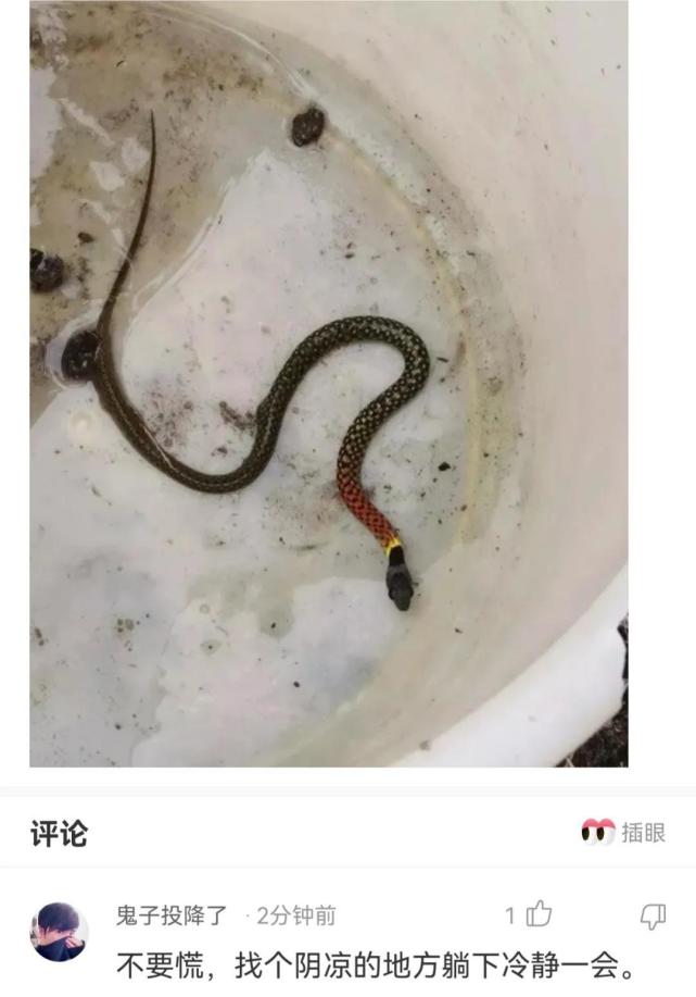 老婆坐同事的副驾驶 (老婆同事坐副驾驶)