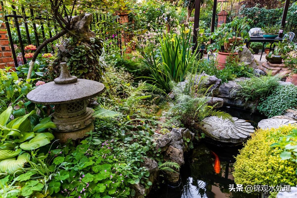 鱼池水面有气泡和发臭怎样解决,鱼池水质恶化如何处理