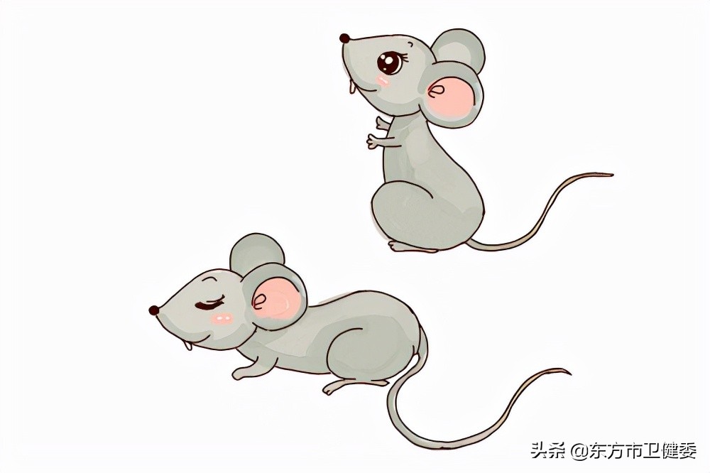 为什么陕西是流行性出血热高发期,西安出血热历来高发