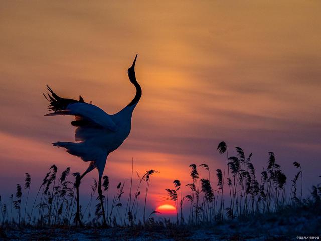 负债逾期真正还不上了怎么办,负债越来越多马上逾期了怎么办