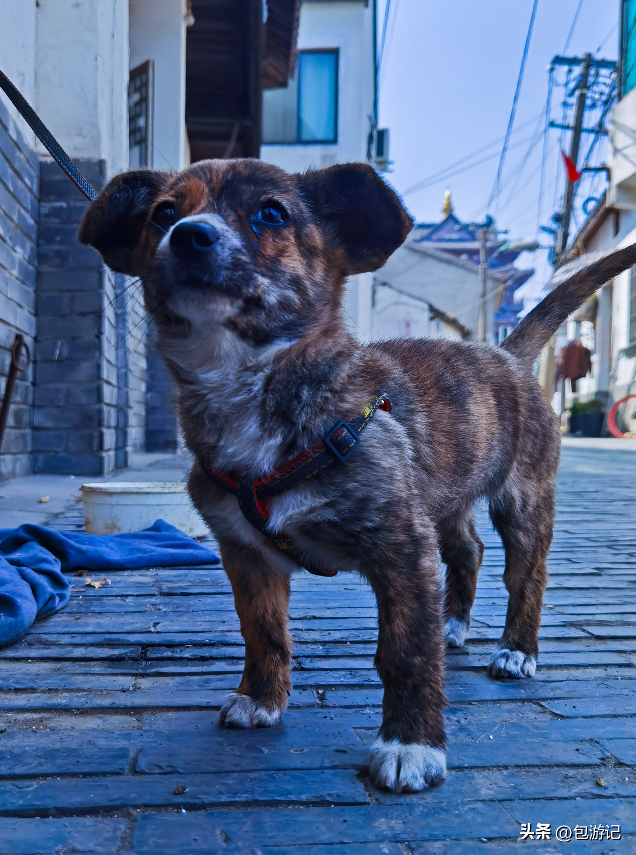 常州嘉泽古镇,常州嘉泽旅游