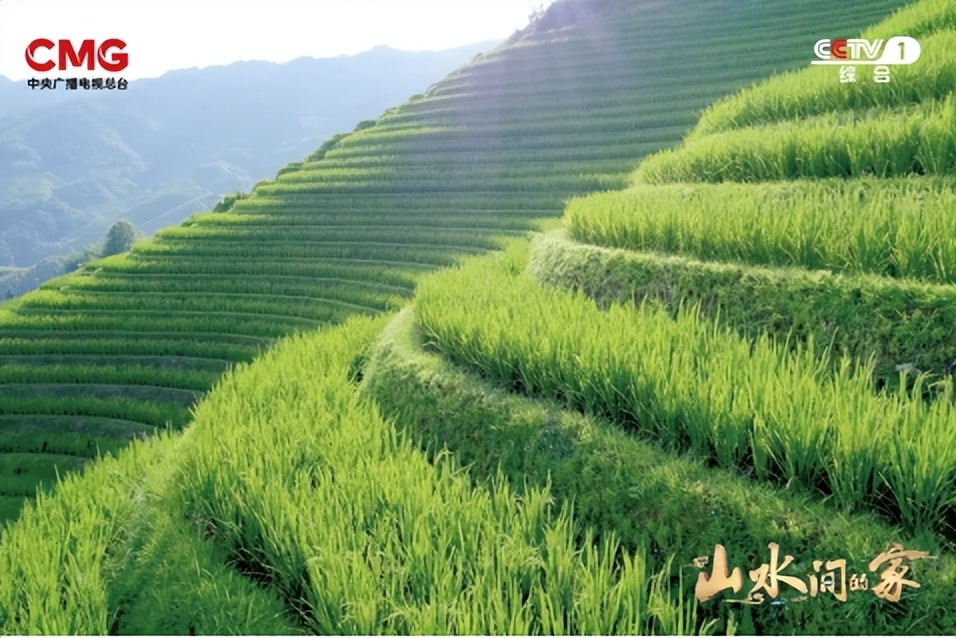 种田就是种风景！《山水间的家》见证乡村十年绿色蝶变