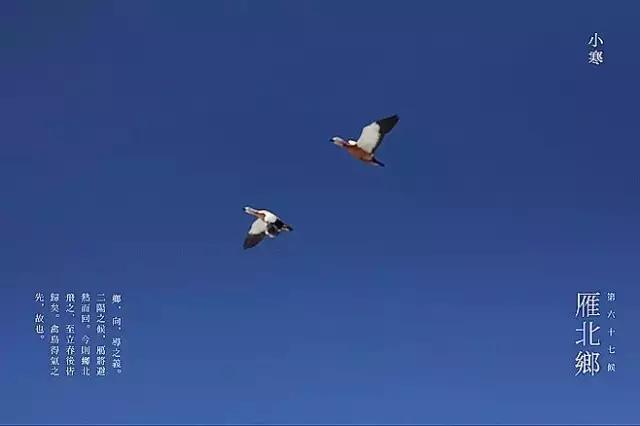 小寒今日至,今日小寒且到普洱尽享暖阳