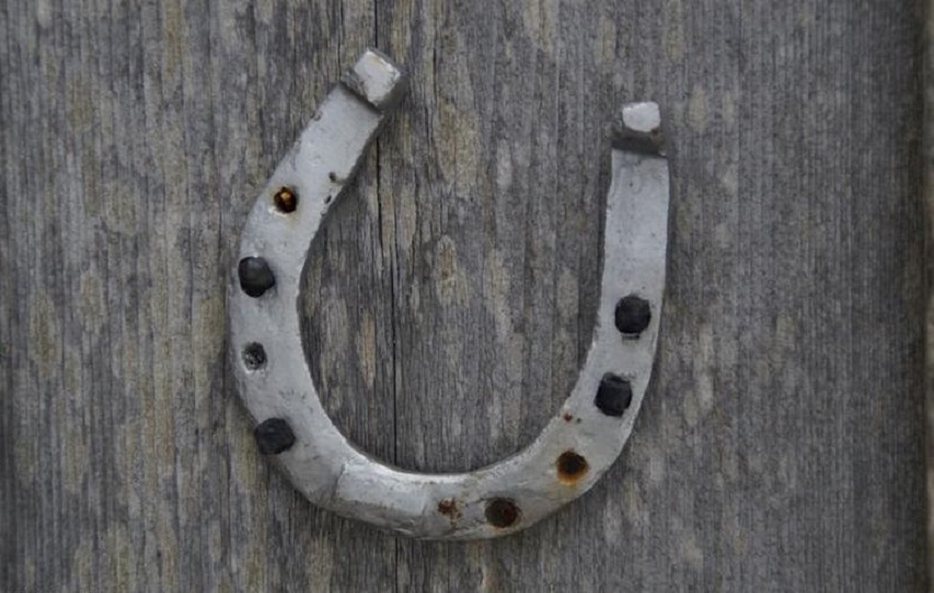 马必须要装马蹄铁吗,马为什么要佩戴马蹄铁