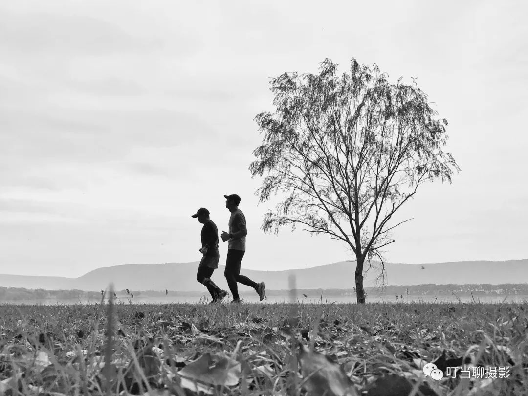 iphone7拍照较其他手机的优势,iphone7与其他手机对比图