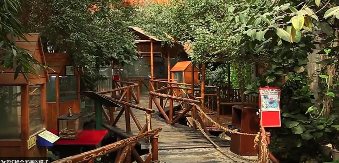 上海大自然野生昆虫馆价格,上海大自然野生昆虫馆