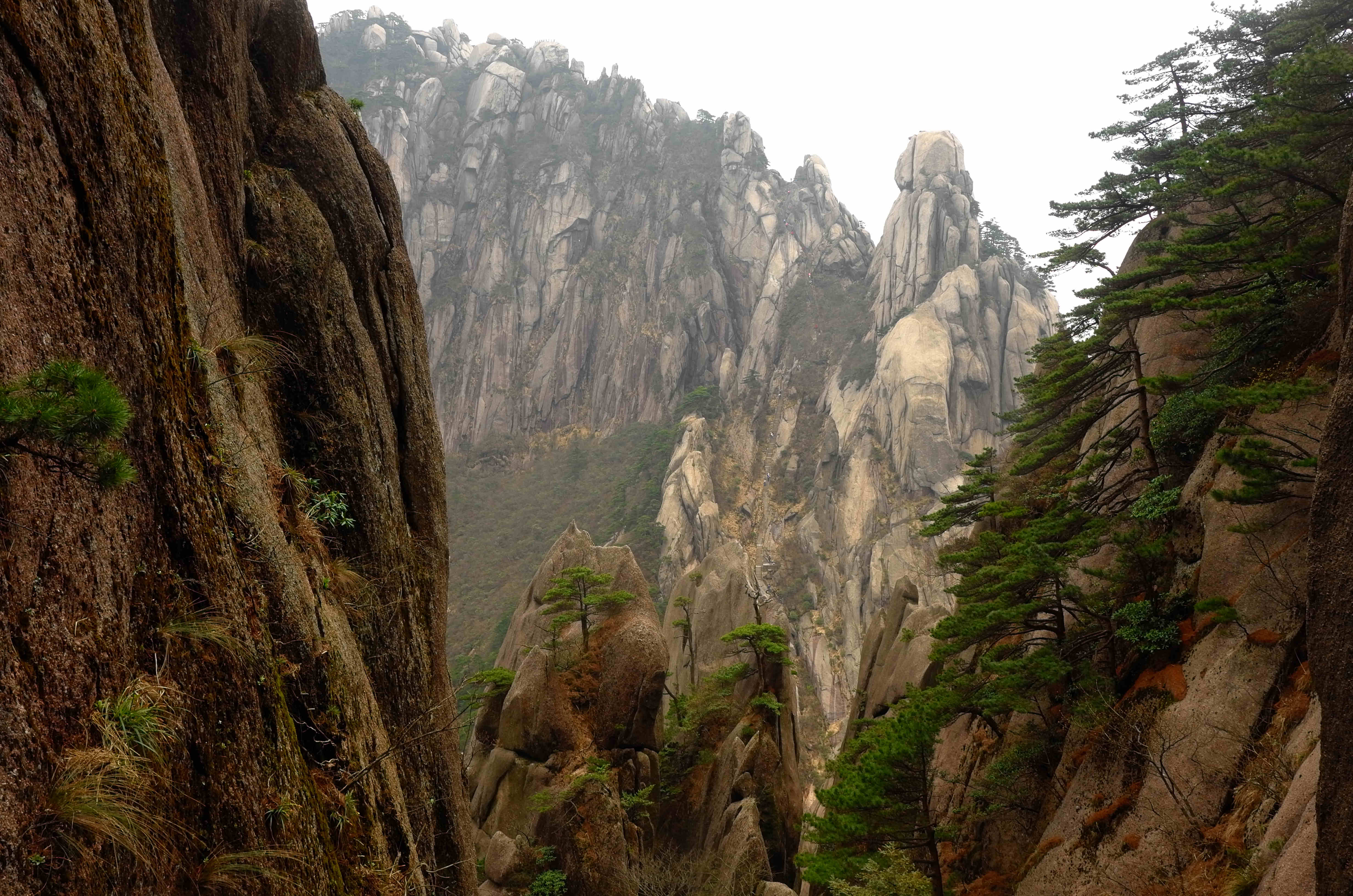 黄山天都峰会走鲫鱼背吗,黄山天都峰鲫鱼背第一视角