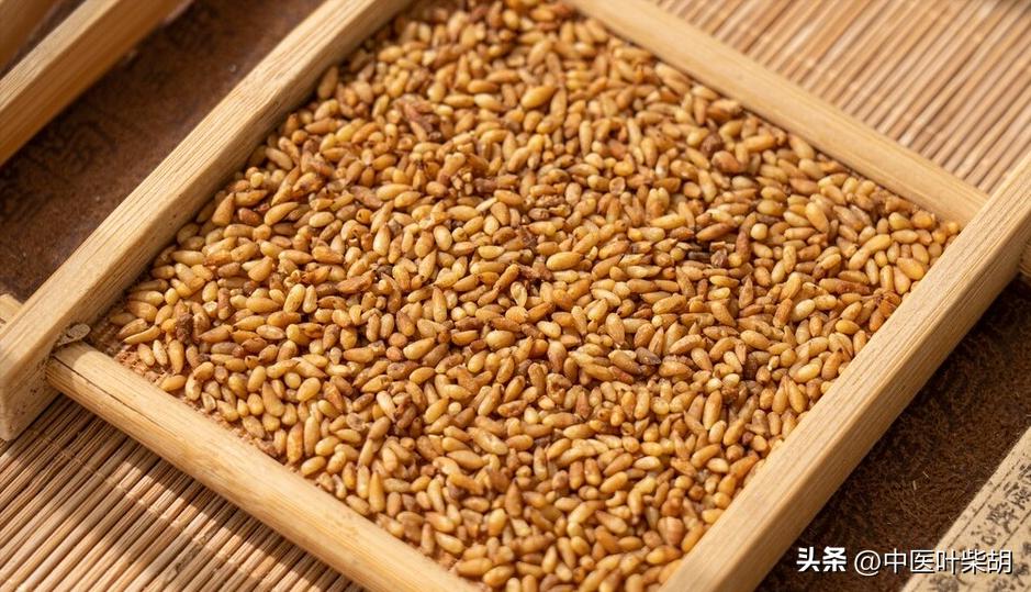 古代中医治疗手段有哪些,古代中医治疗方法大全