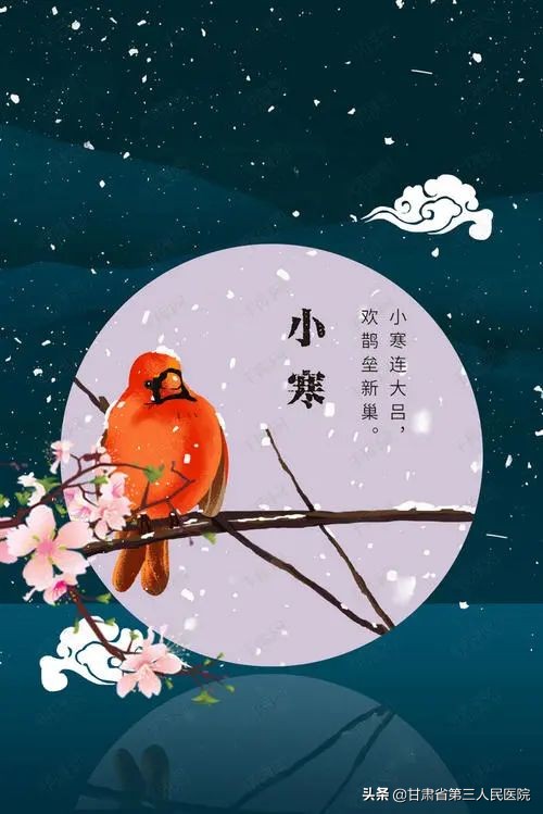 科普大讲堂音频全集,科普大讲堂饮食