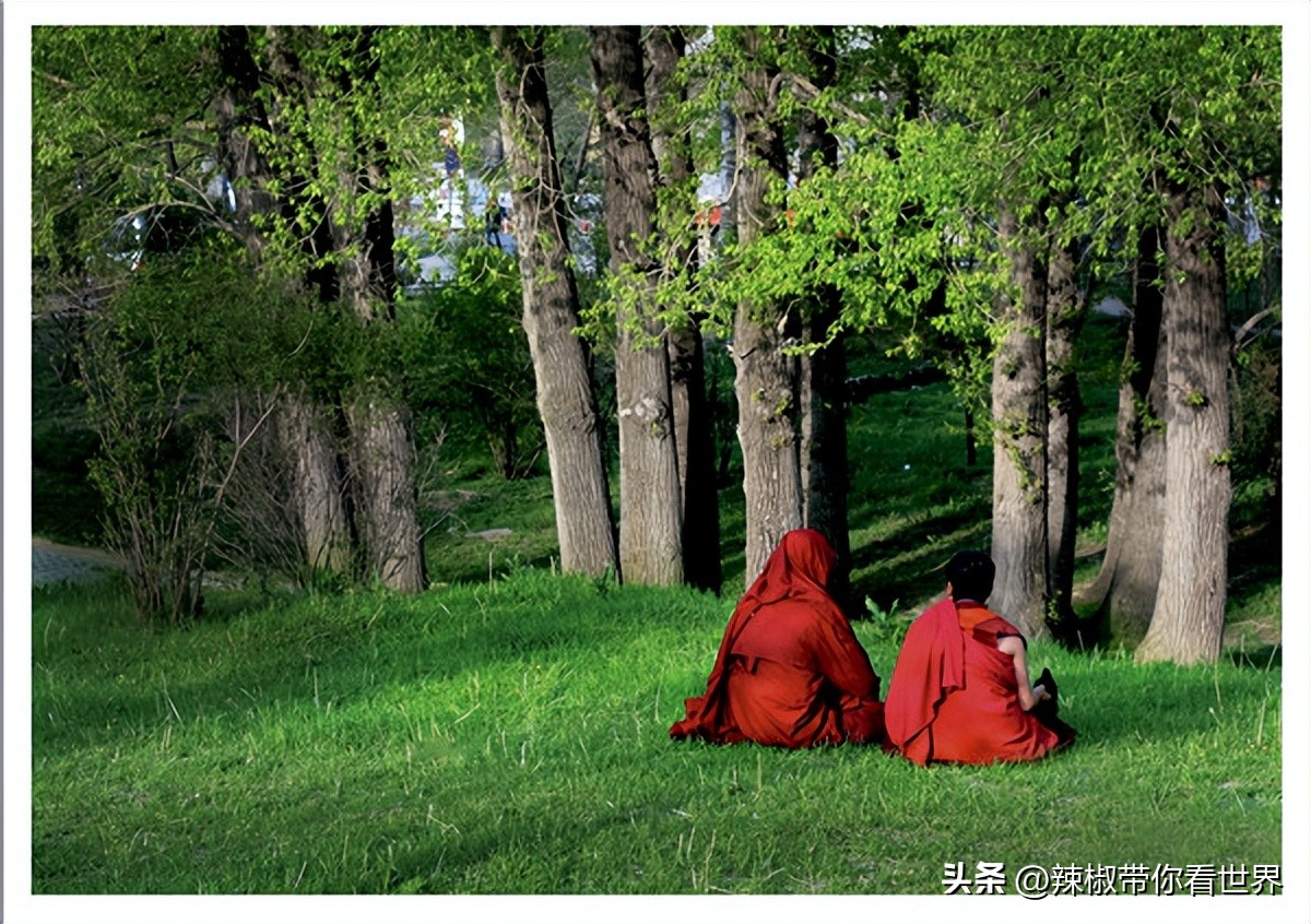 忻州一日游五台山雁门关忻州古城,五台山雁门关忻州古城三日游