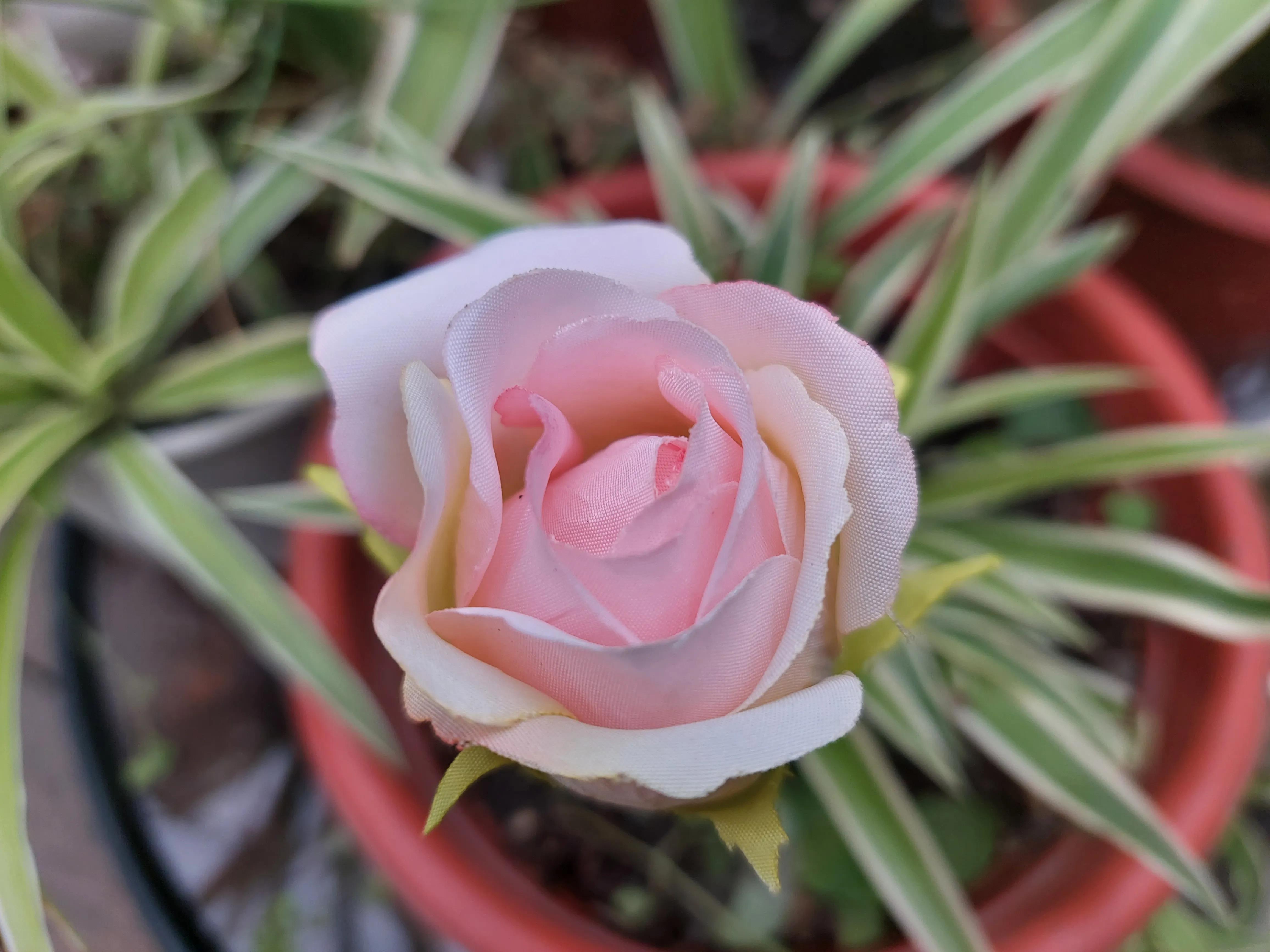 青春记忆足球,青春里的足球记忆