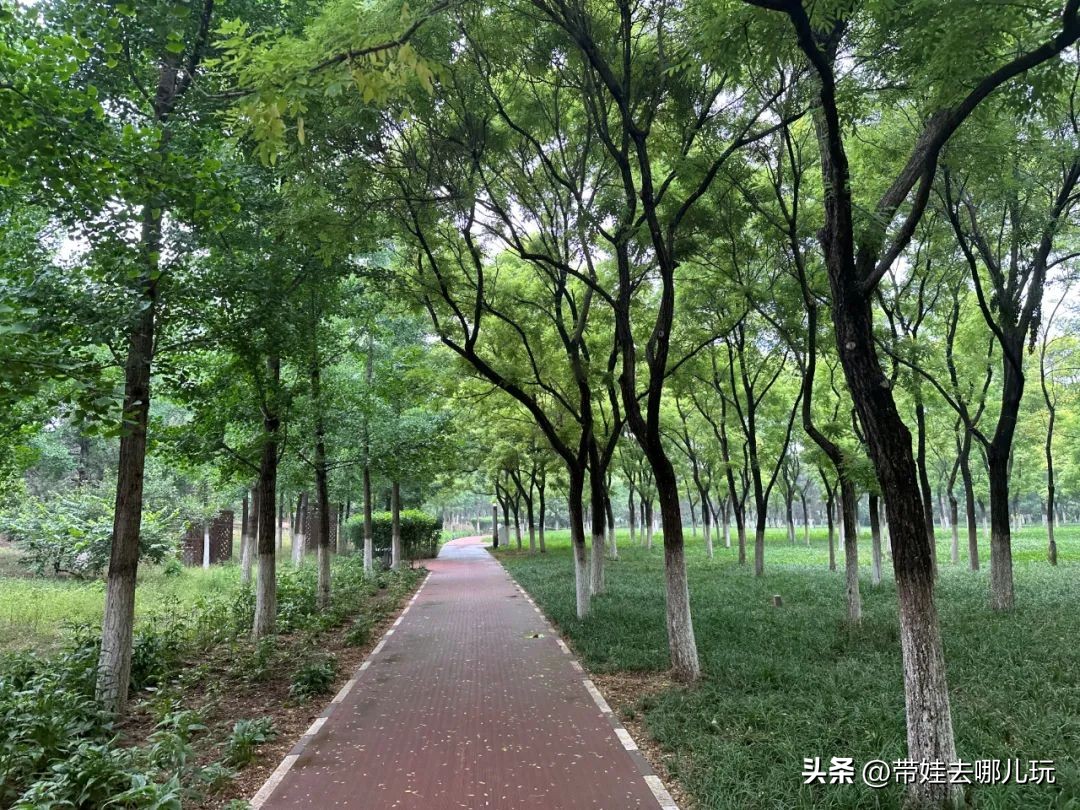 可搭帐篷公园,可以骑车搭帐篷的公园