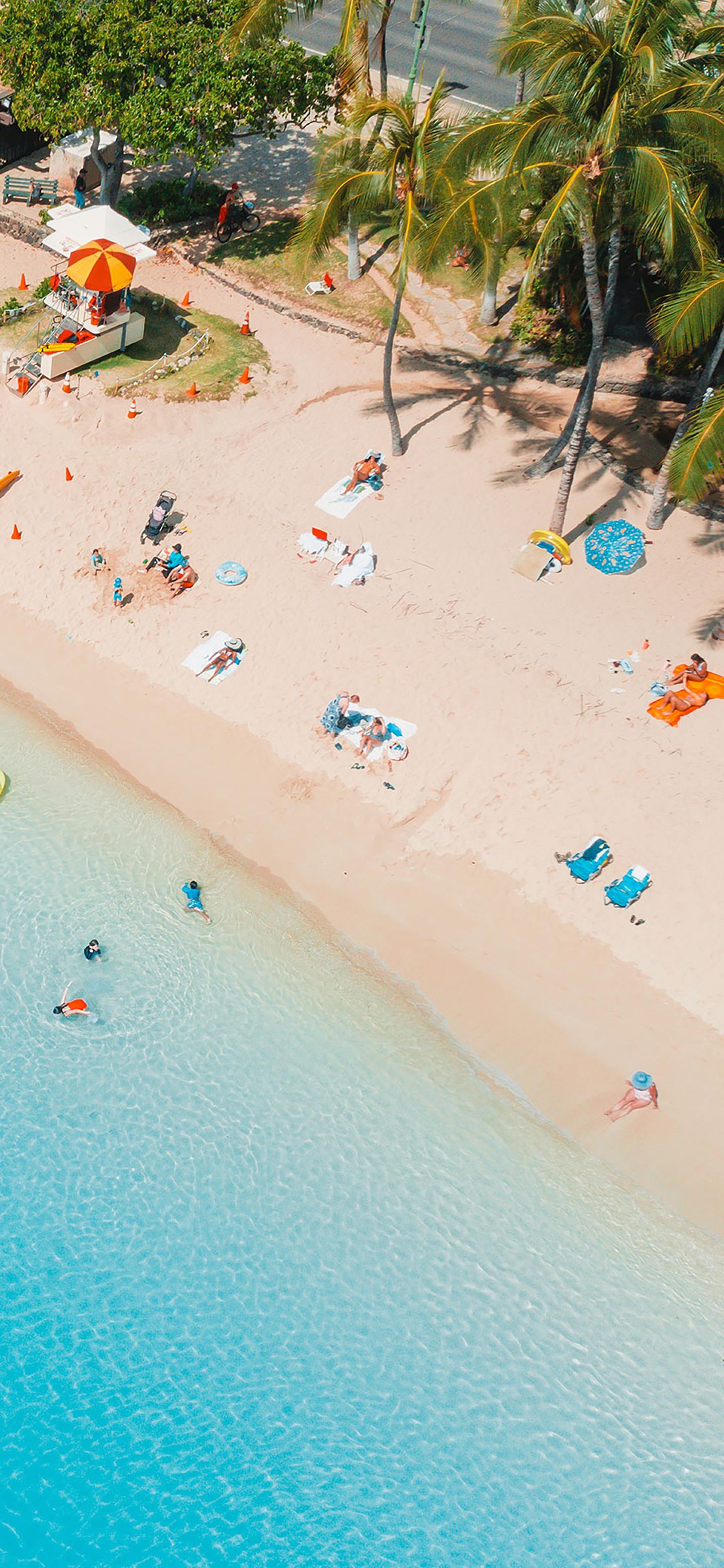 风景壁纸春,春天有百花秋有凉风冬有雪壁纸