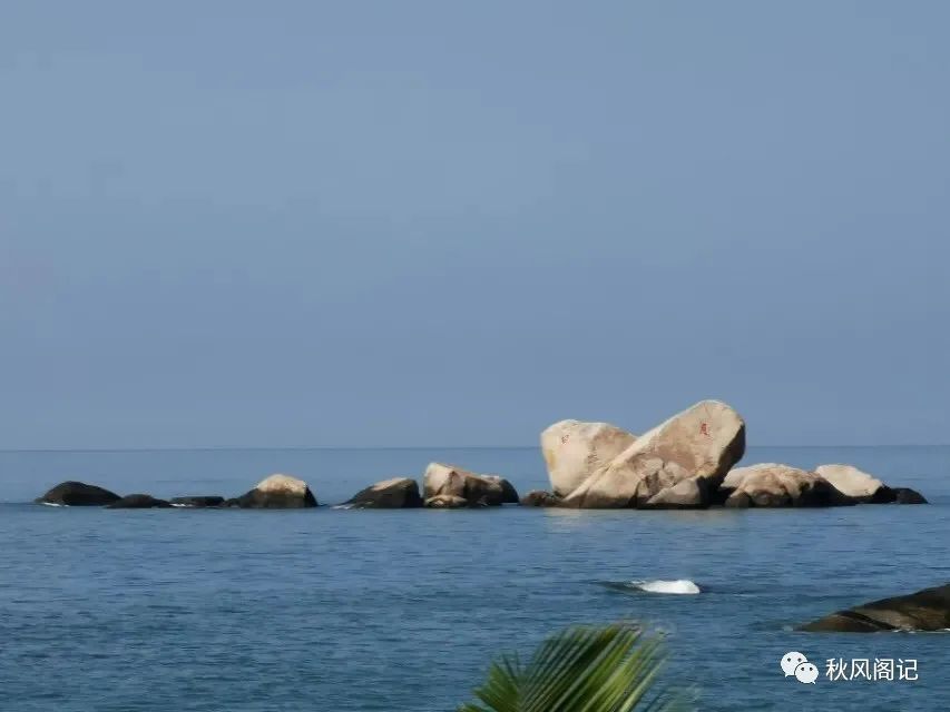 “北猫扑南天涯，西祠胡同榕树下”，再论天涯社区的没落