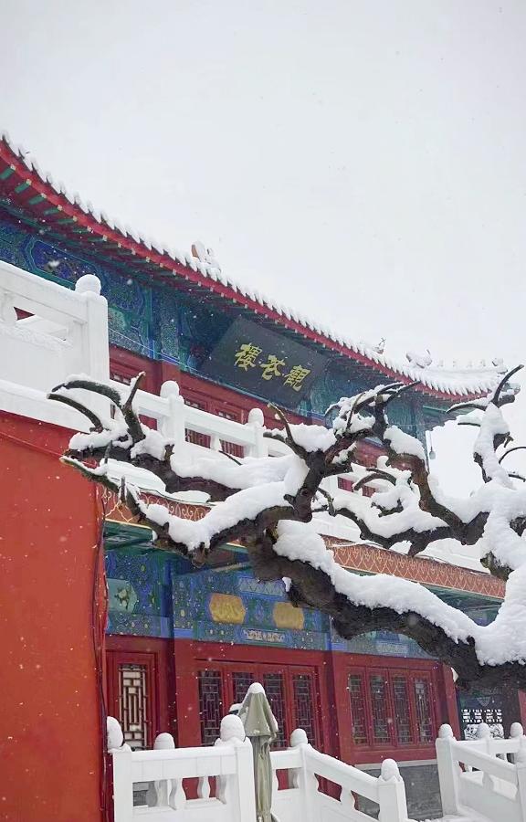 冬天100张绝美雪壁纸,好看的雪壁纸图片全屏高级感