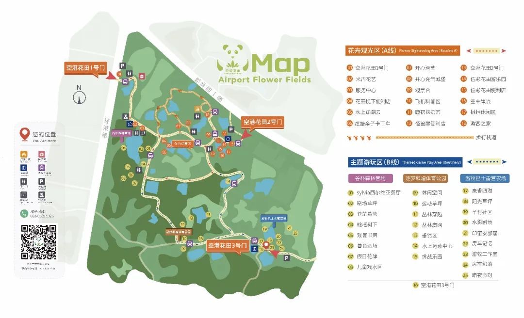 空港花田怎么免费开放,空港花田最新信息