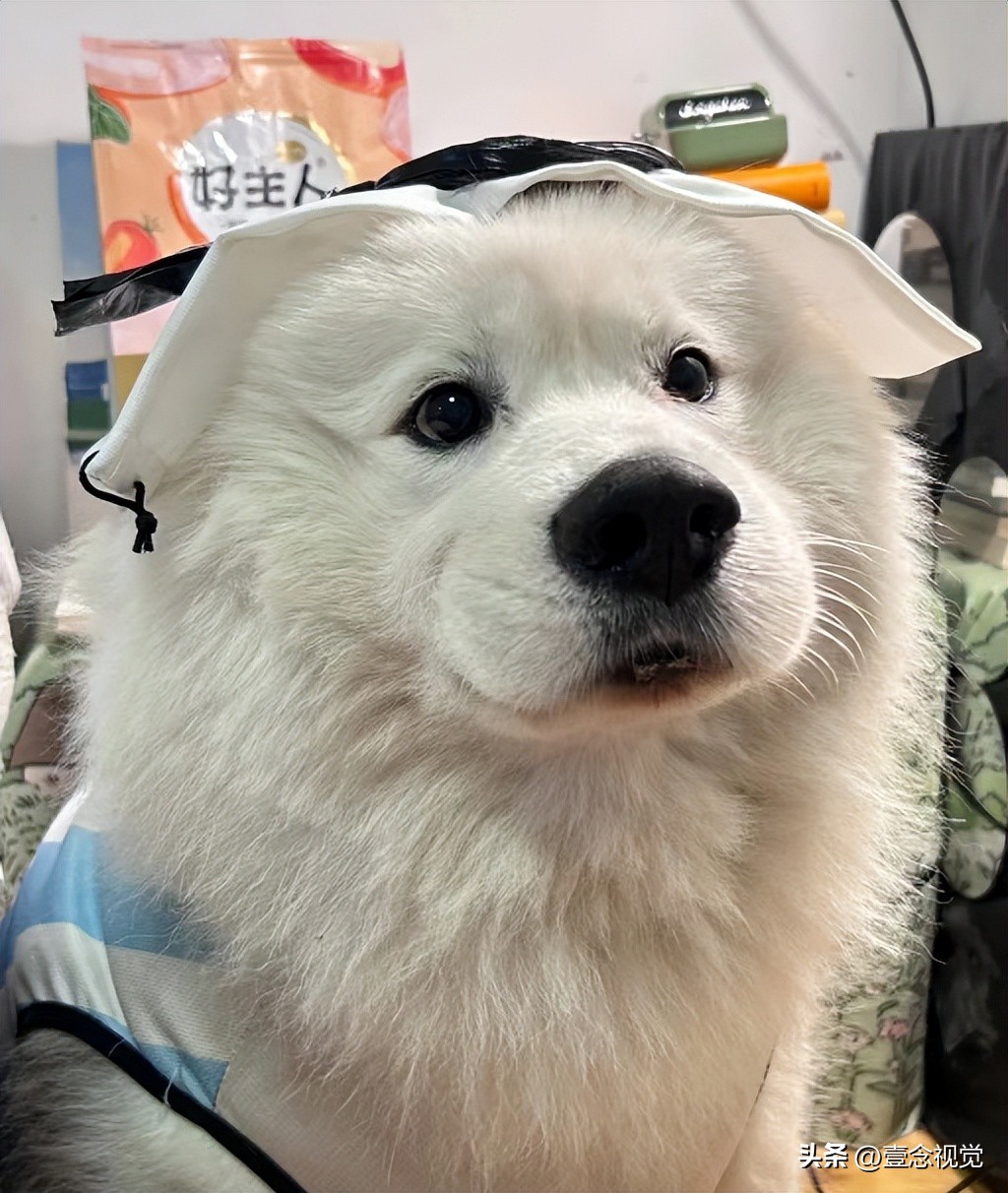 世界杯文案搞笑段子,关于世界杯的幽默段子文案