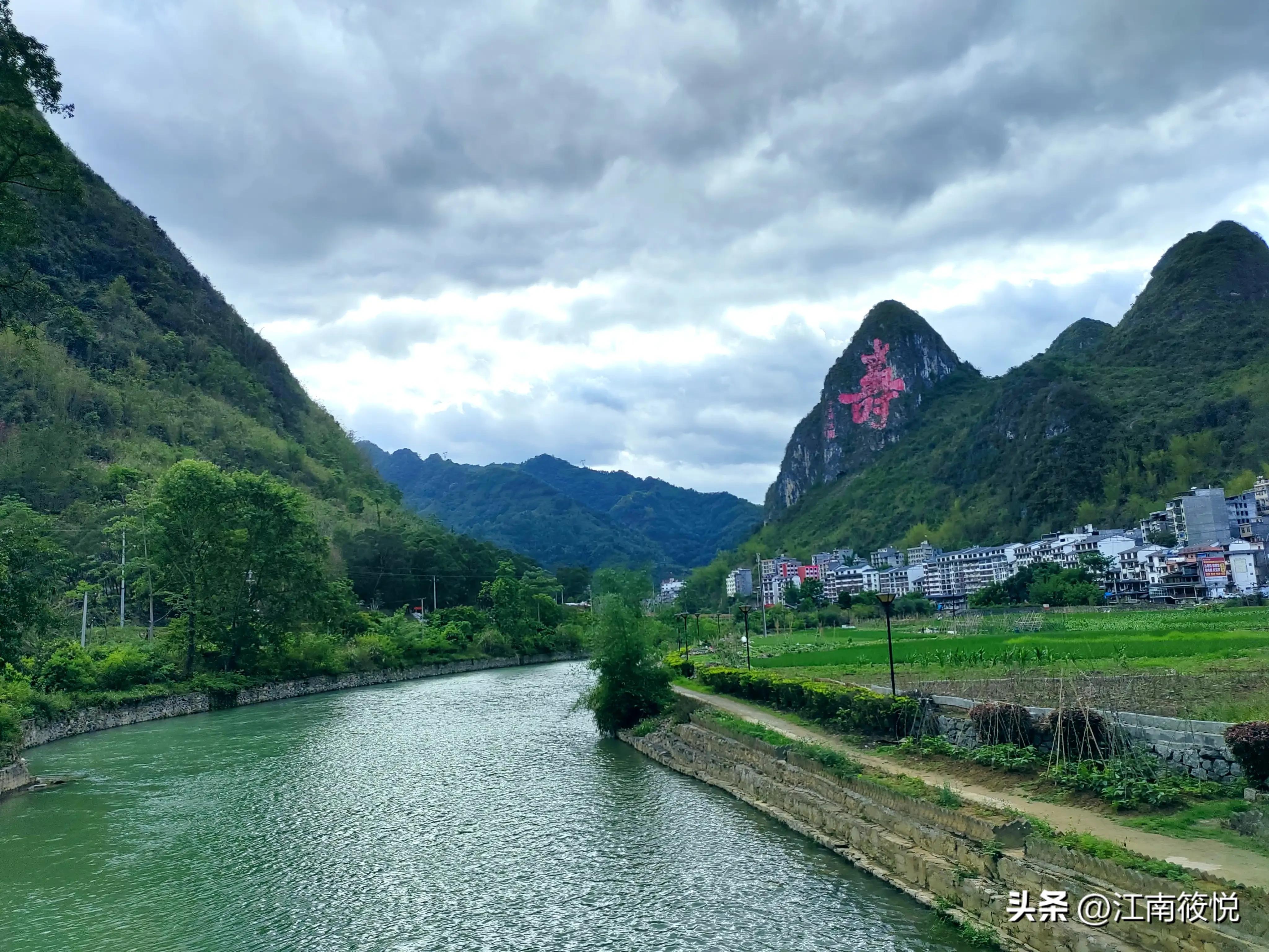 广西巴马瑶族老配方茶麸,巴马茶麸的功效和作用