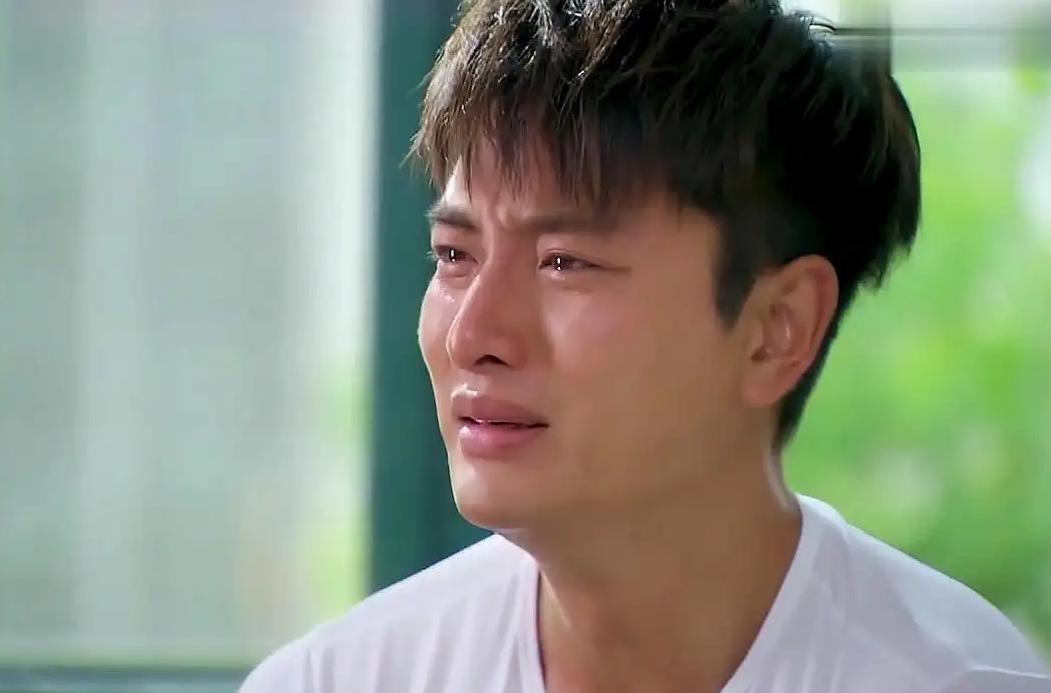 贾乃亮李小璐离婚案件民事判决书,李小璐为什么和贾乃亮离婚