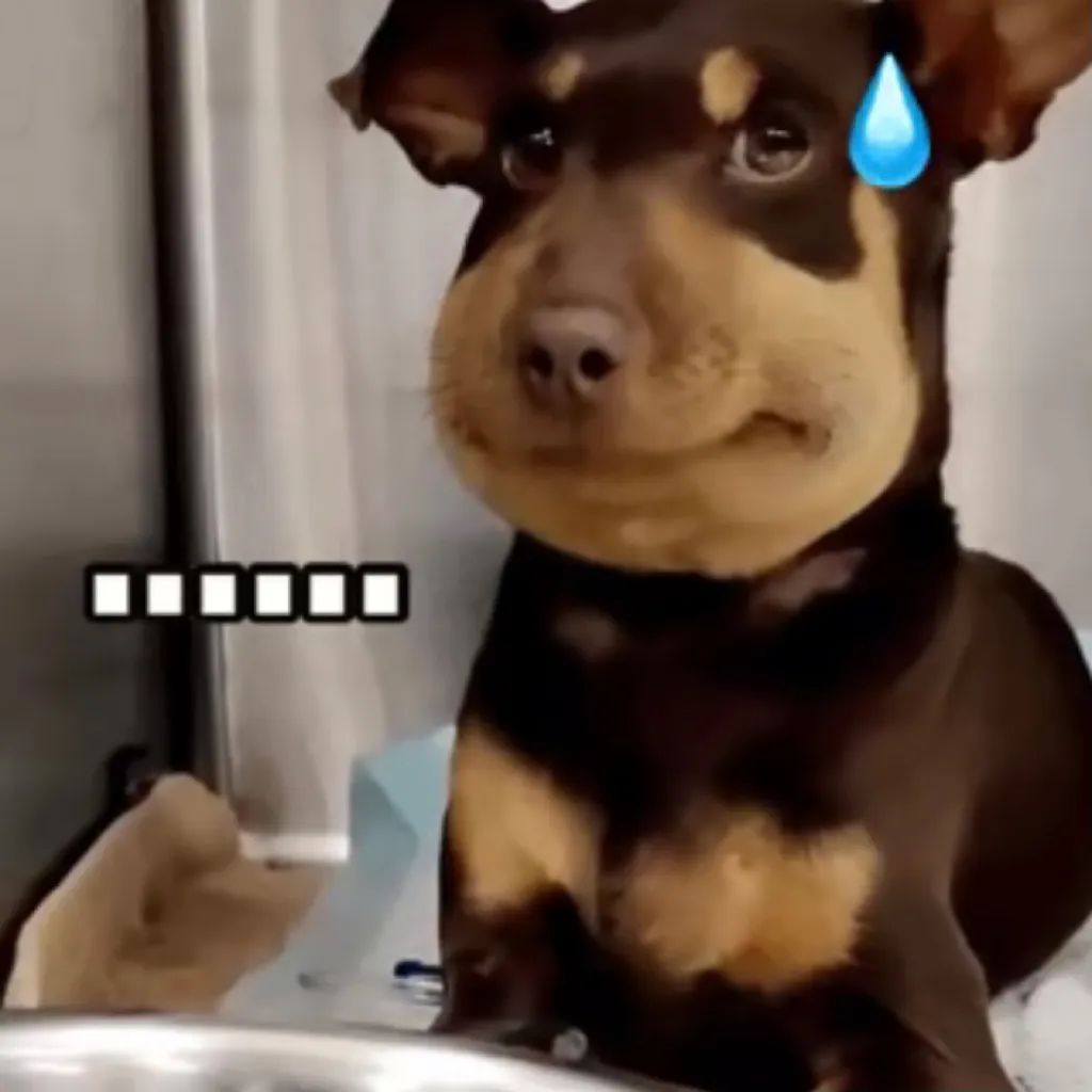 这张嘴骂得太准，想焊自己脸上