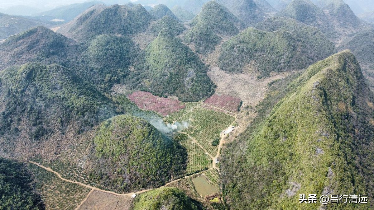 清远哪里有桃花树,广东清远阳山桃花源