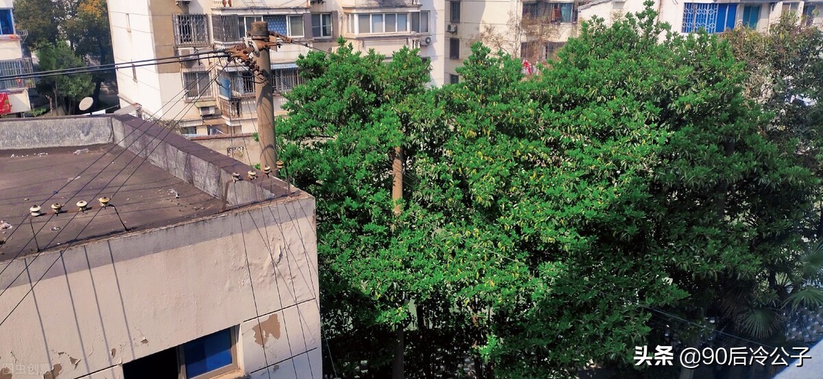 楼房二楼有什么缺点,二楼的优点和缺点