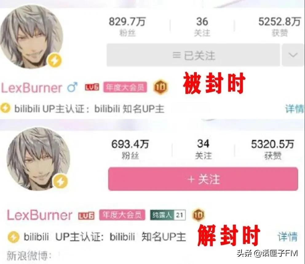 说错话的up主,b站顶流的up主