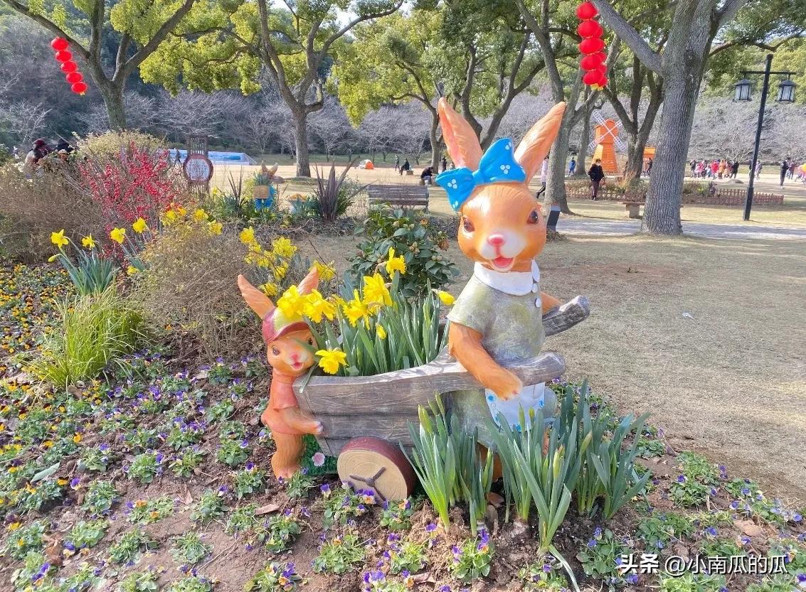 苏州休闲娱乐的景点,苏州娱乐游玩项目