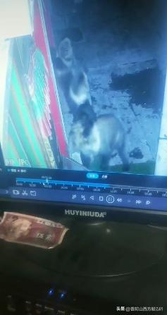 太平寺的足球故事（邱一半）