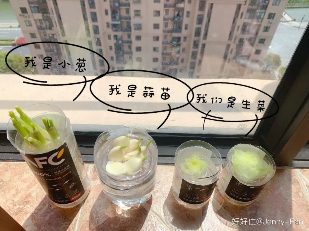 拒绝一次,拒绝一次应该放弃吗