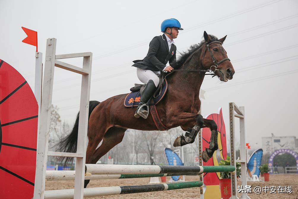 2022年安徽省青少年马术锦标赛暨第一届全国学生（青年）运动会马术运动资格选拔赛开幕