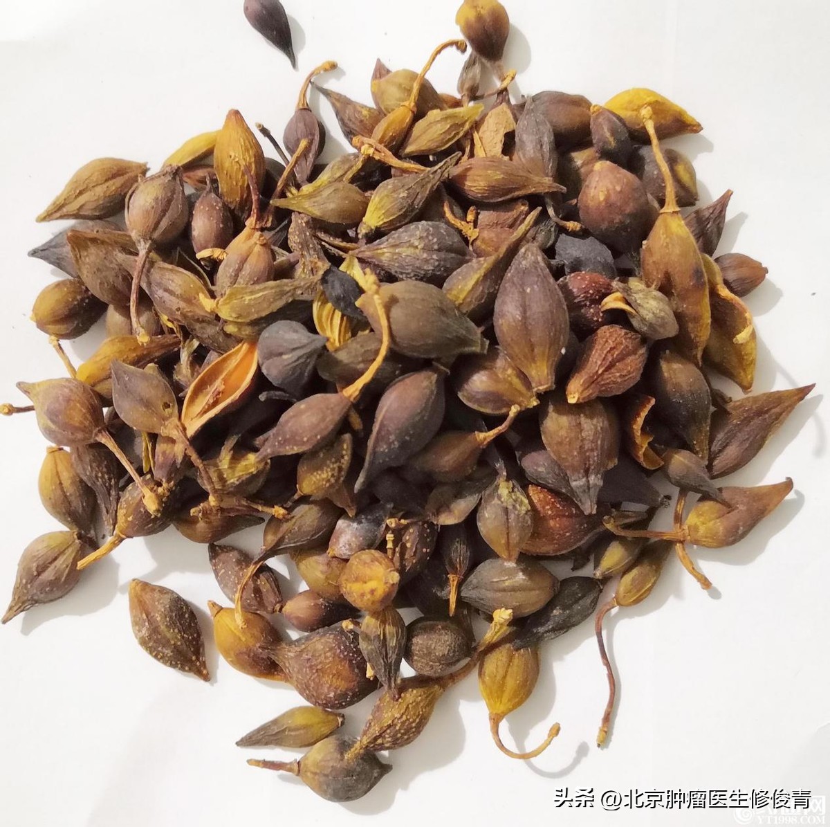 中医治疗肝郁胁痛医案1则，疏肝健脾，清利湿热