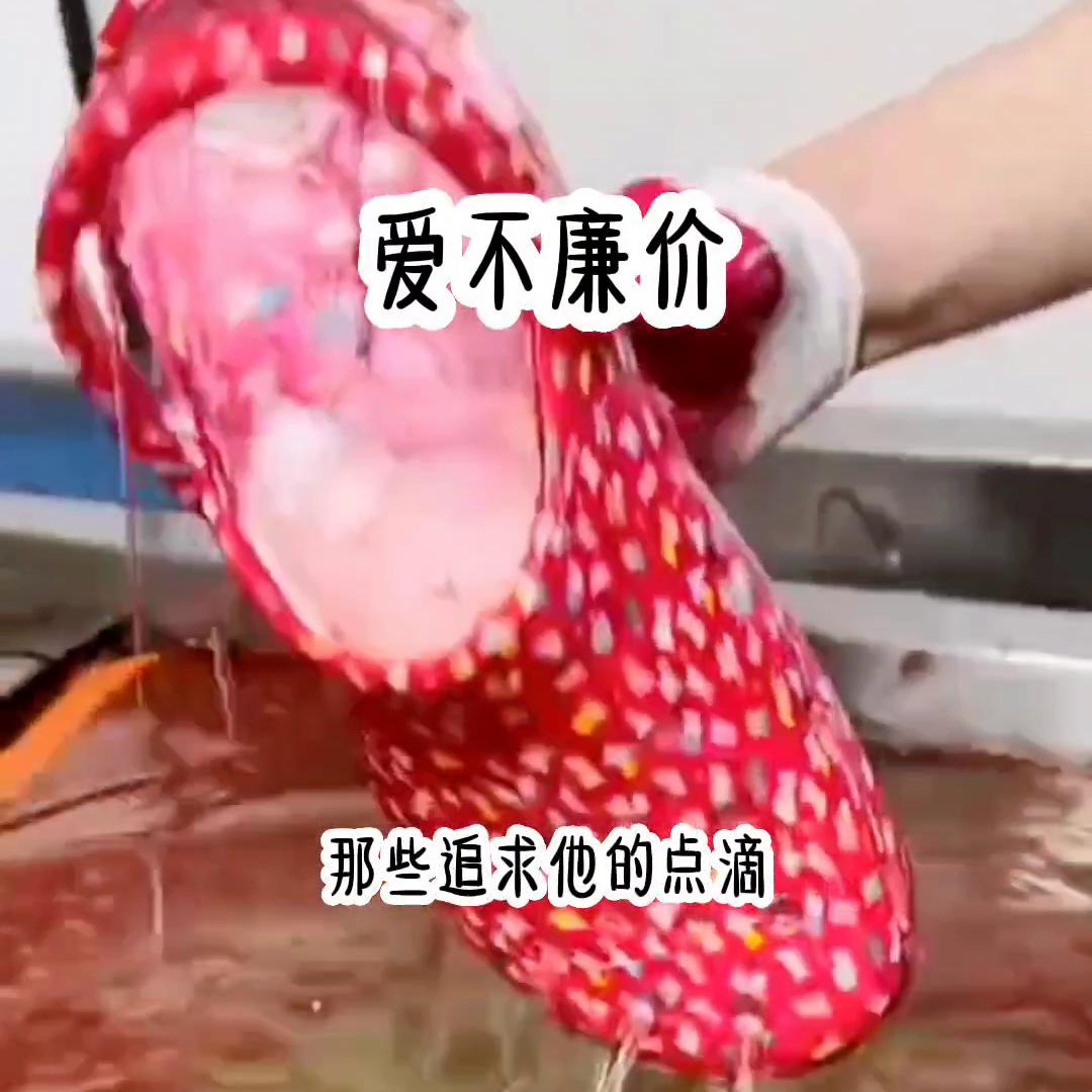 爱不廉价,爱不廉价下一句