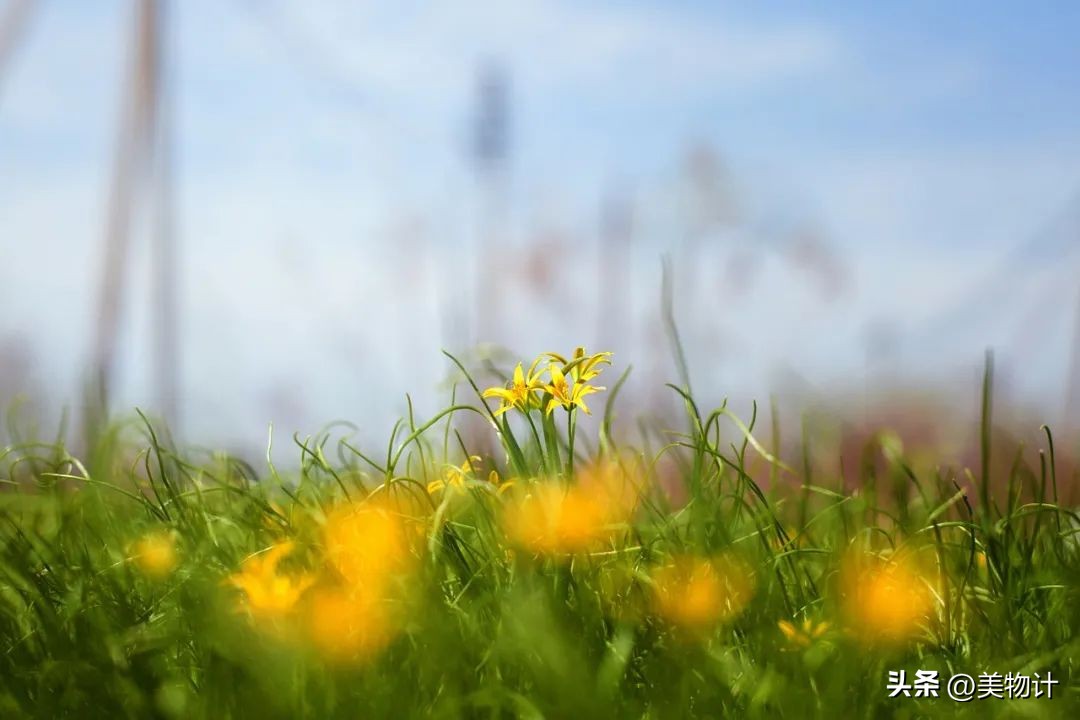 值得深交的一定是善良真诚的人,相处靠真心深交靠真诚