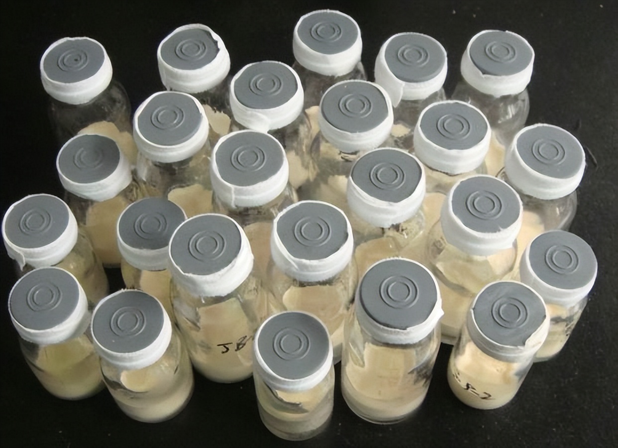 猪源链球菌的分离鉴定