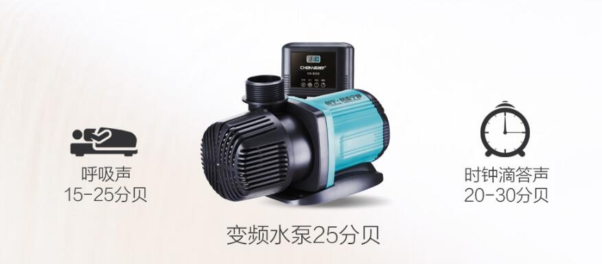 养乌龟新手推荐,龟用品