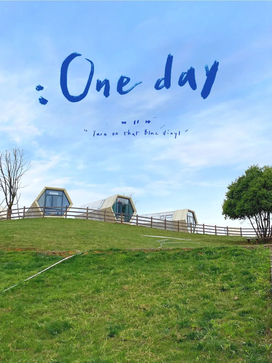 金华适合大学生旅游的地方,金华9月最值得去的地方