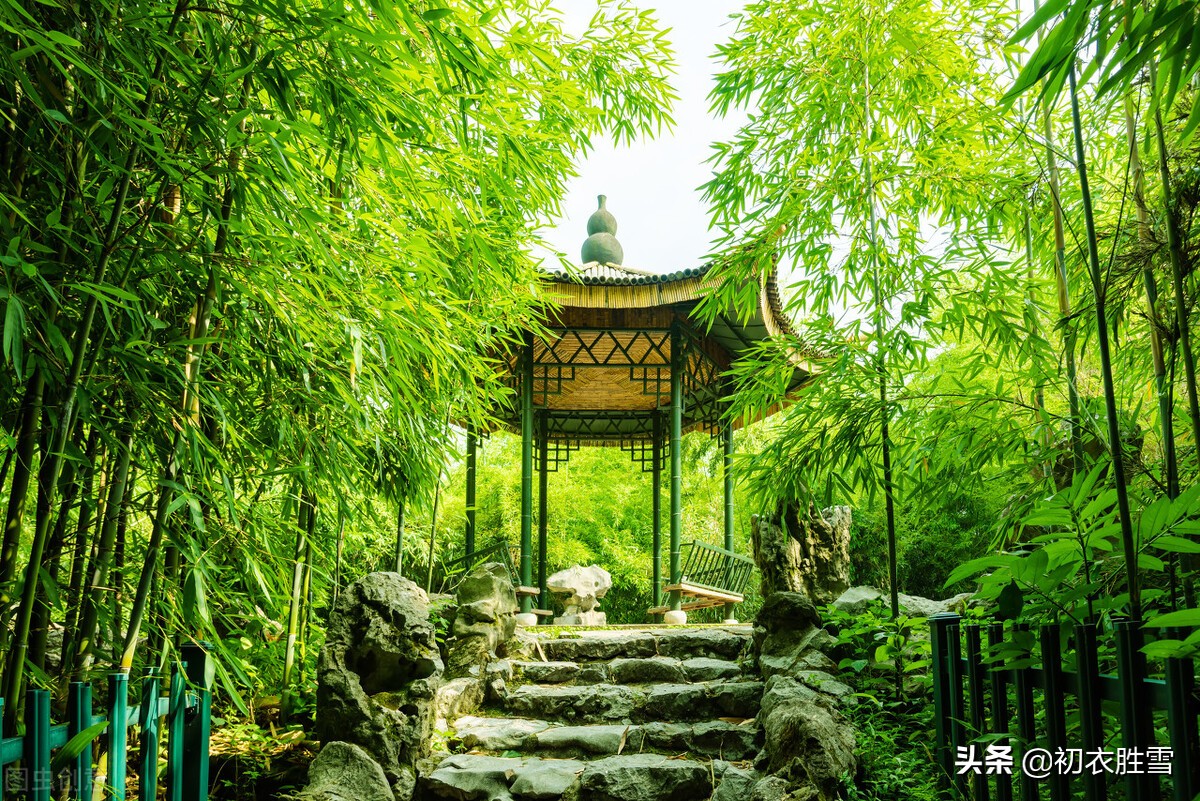 鍒濆绔瑰瓙,鍒濆缁挎剰鐩庣劧鍞編璇楀彞