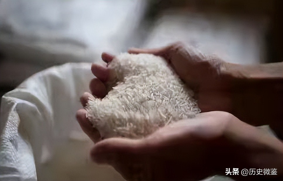 放弃年薪20万回家种地，气走父亲，几年后农产品销售额超600万