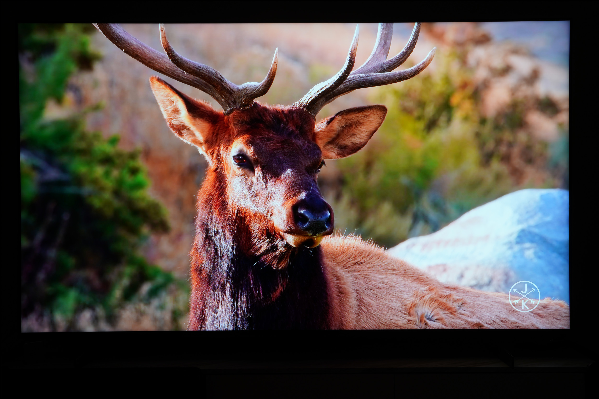 如何评价tclx11g电视,tclx11qd-miniled电视测评