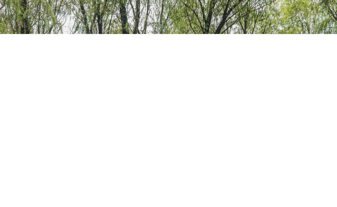 8,000字详解理想L8：这不就是小L9？