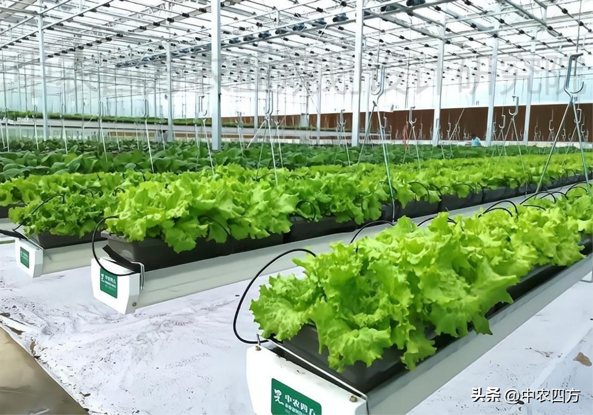 现代农业助推传统农业转型升级,农业新业态新模式