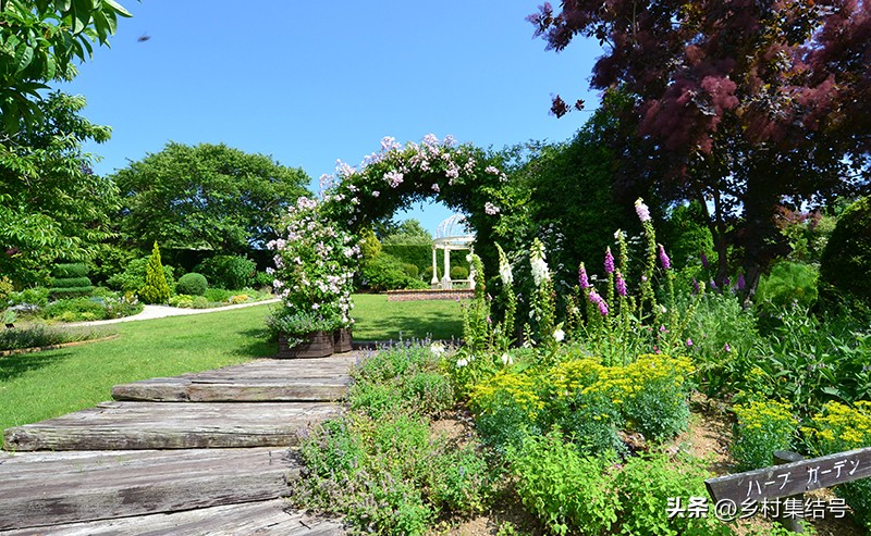 【推荐】日本馆森方舟牧场：让农业变成年轻人梦想的魅力产业