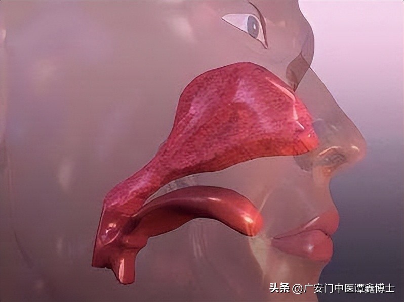 鼻咽癌化疗后要注意什么,鼻咽癌开始化疗后的注意事项