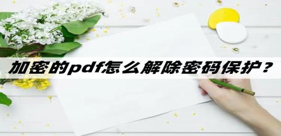 wps怎么解除pdf密码保护,如何通过代码解除pdf密码
