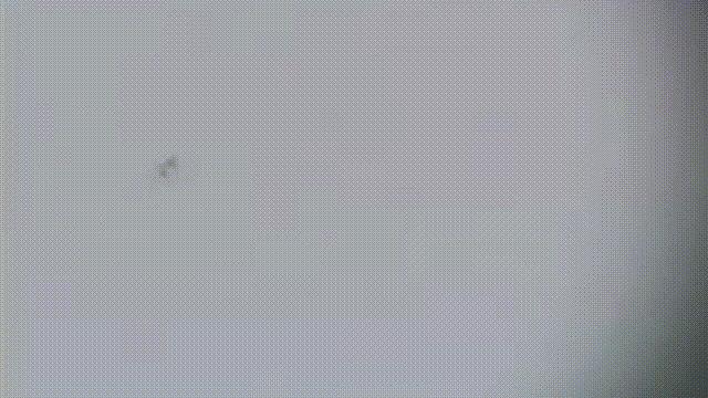 三文鱼水光真假分辨,哪种才是真正的三文鱼