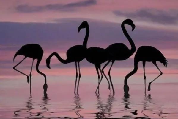 真正厉害的人三种顶级思维,聪明自律的人有四种高级思维