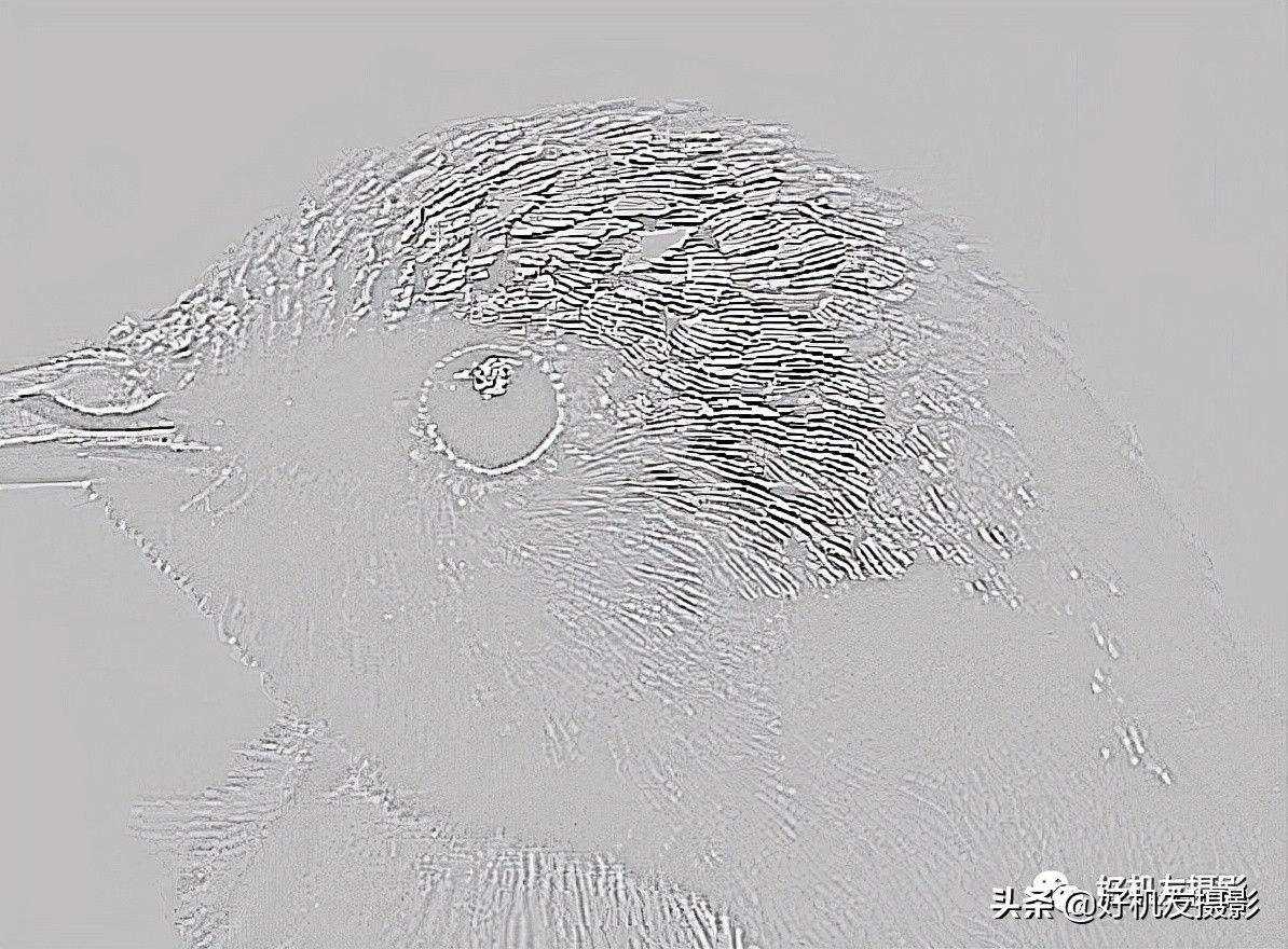 手机拍照片怎么拍出质感风景,拍的照片没有质感