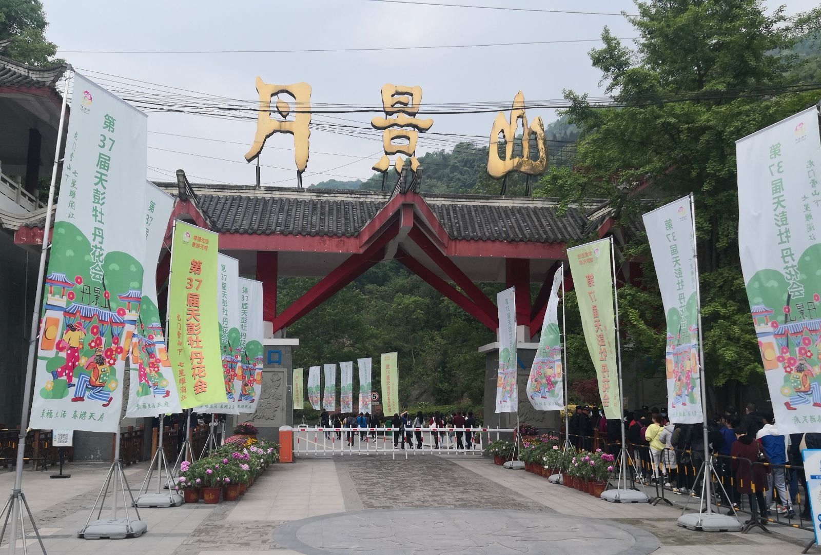 成都周边春季赏花景点推荐,成都赏花景点推荐一下