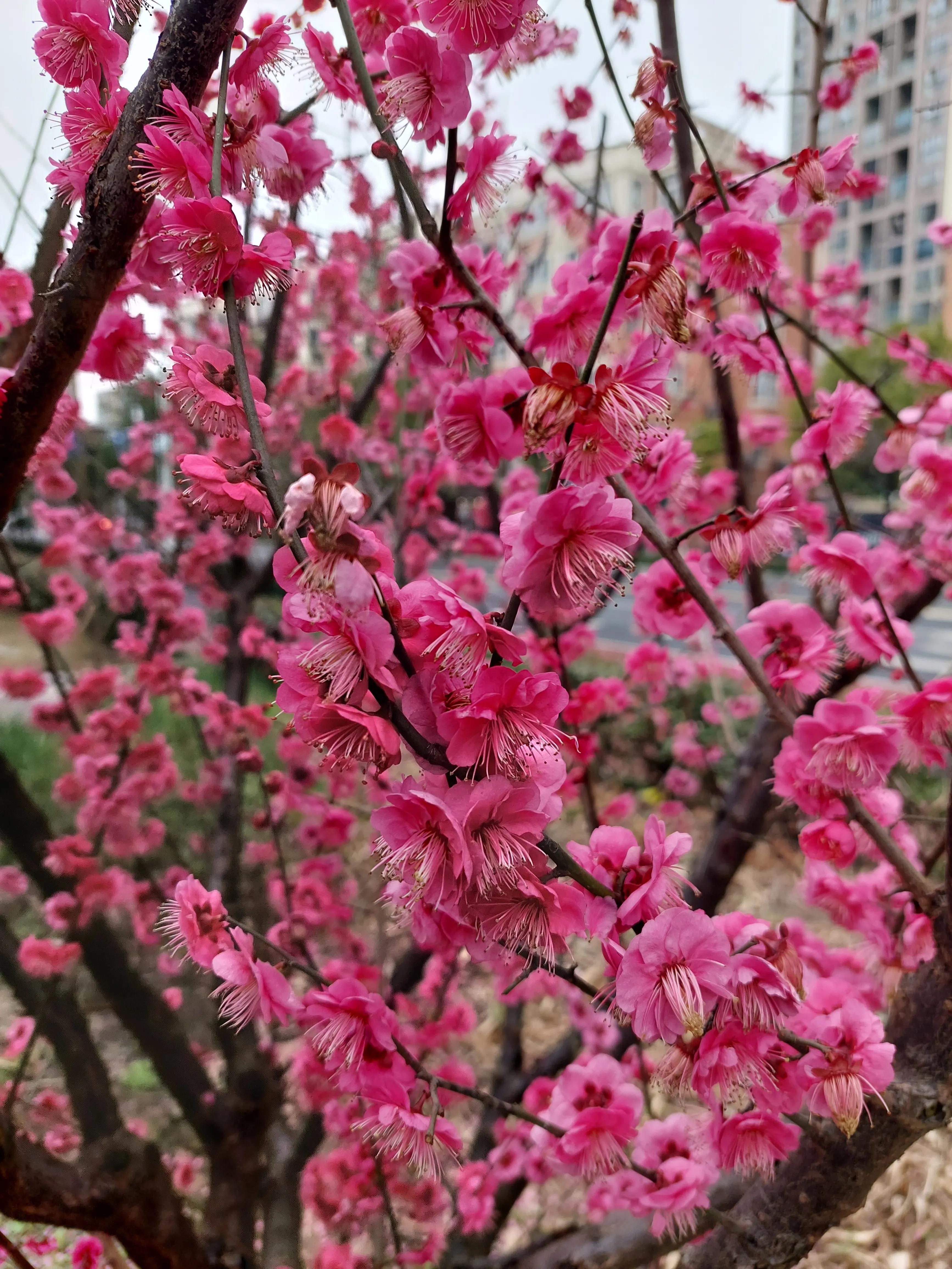 找工作的时候要和hr说工作难找吗,资深hr吐槽3种求职者